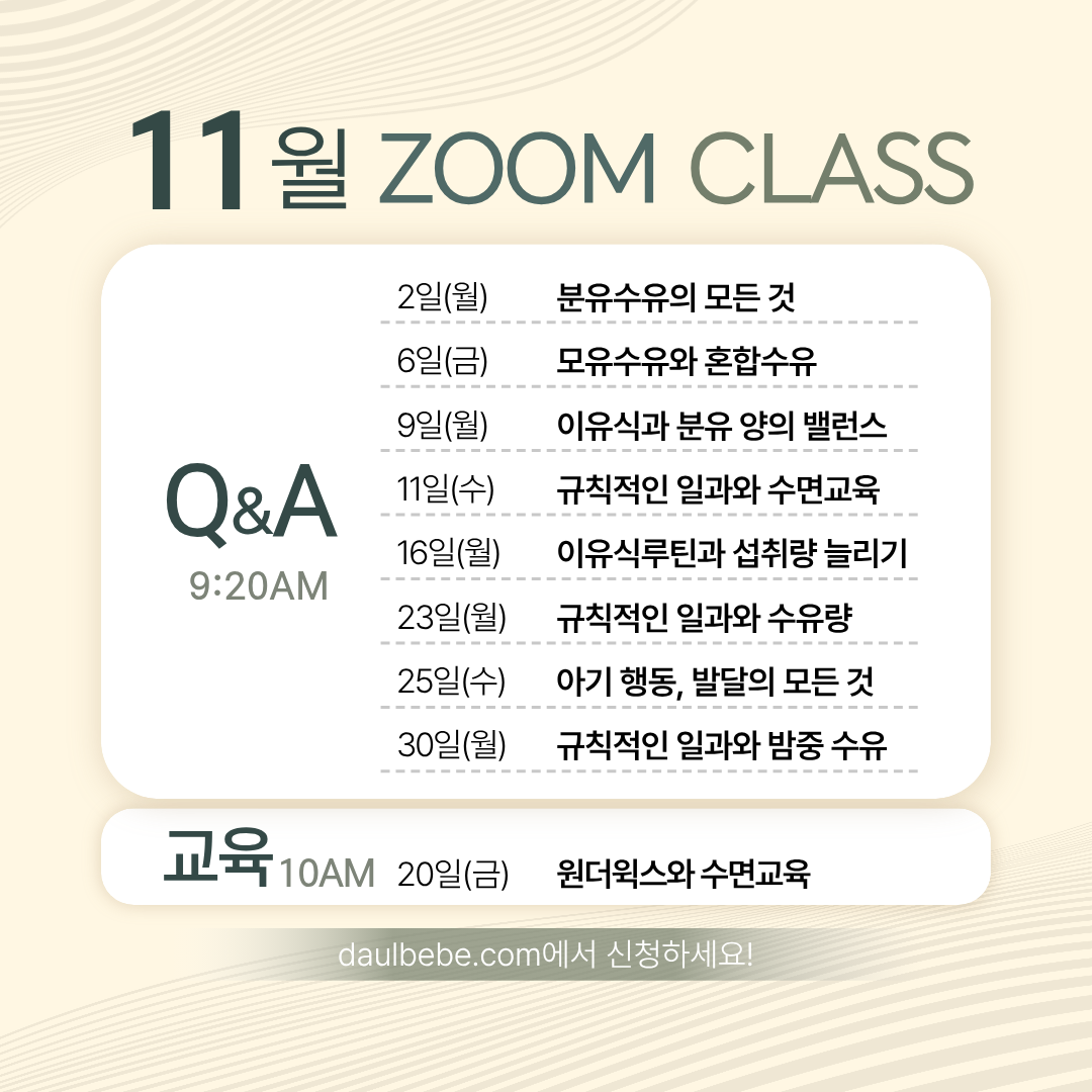 11월 줌 1×1.png